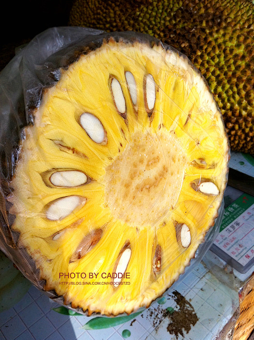 伊斯梅爾的幽魂