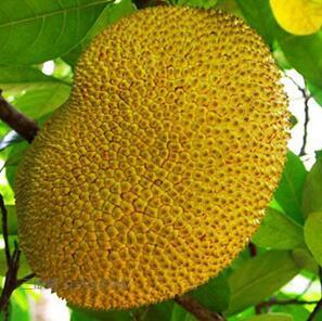 塞上風雲 视频截图