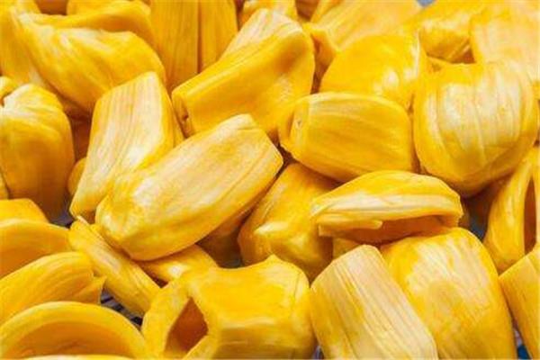 史酷比！格鬥狂熱迷 视频截图