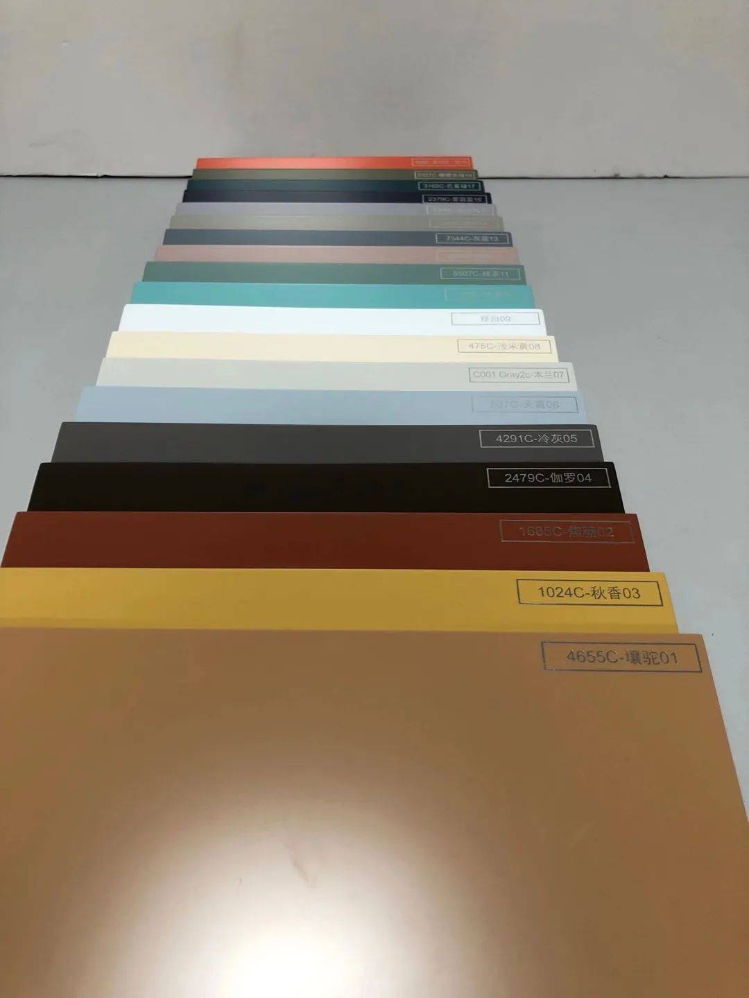 佐羅傳奇 视频截图