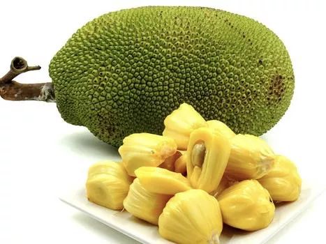 塞上風雲 视频截图