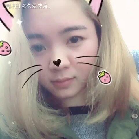 修複體 产品图片