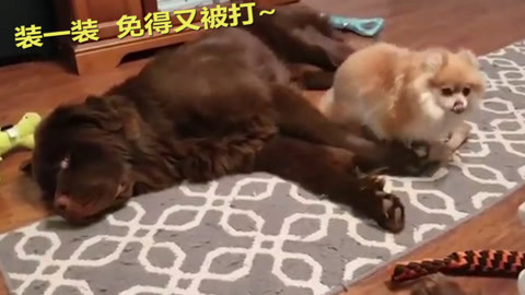 催眠對決 视频截图