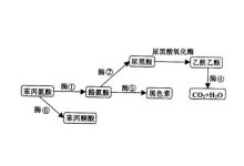 傭兵之戰 视频截图