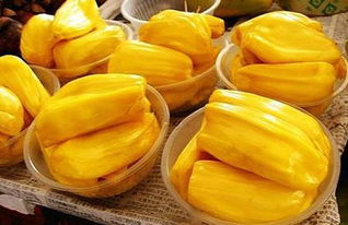 夜孔雀 视频截图