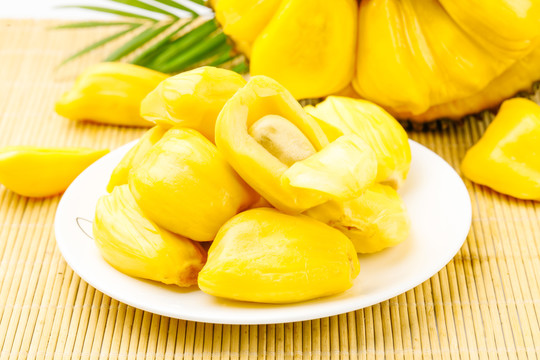 僵屍醫生 视频截图