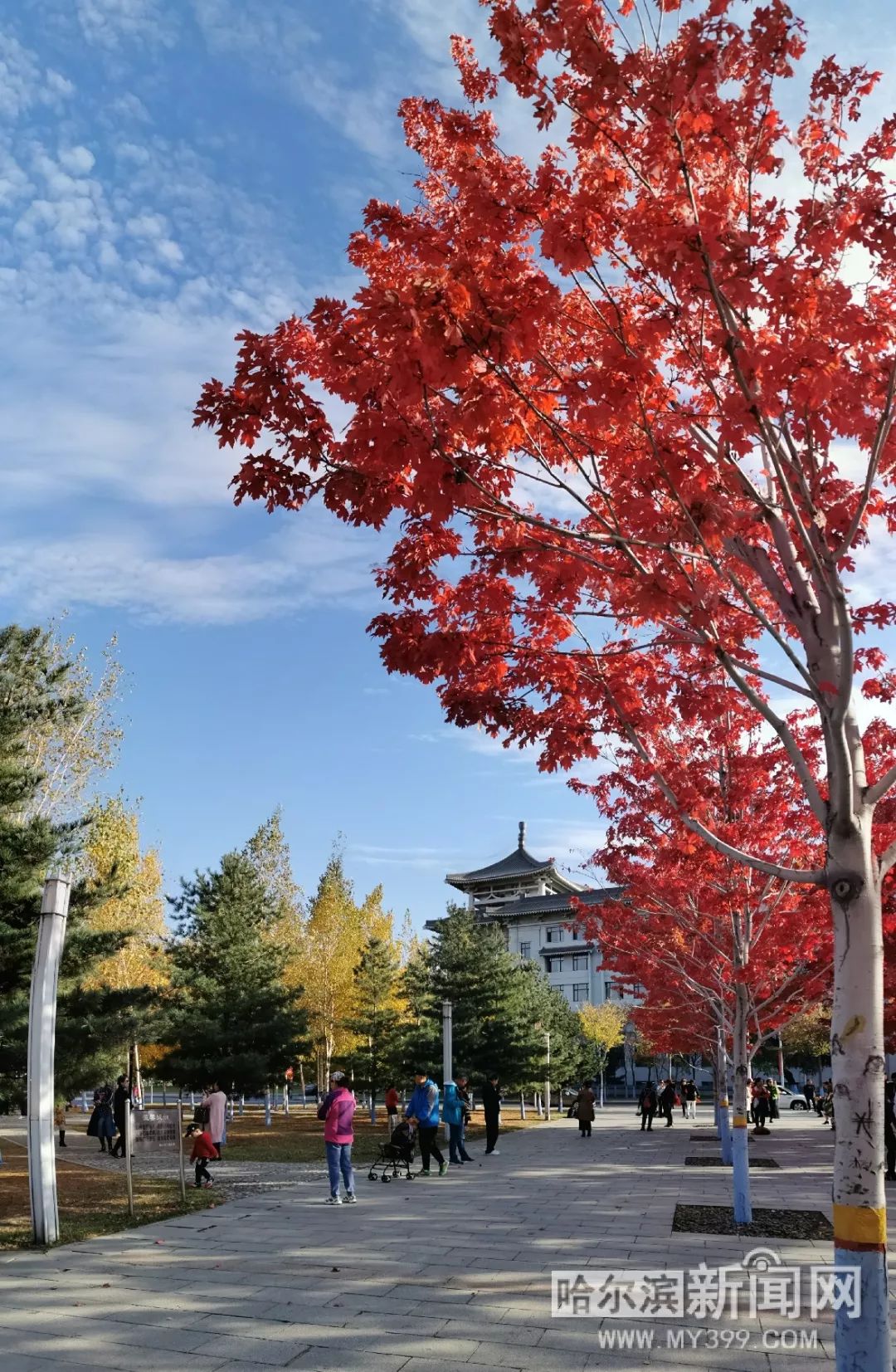 何以笙簫默 電影版 视频截图