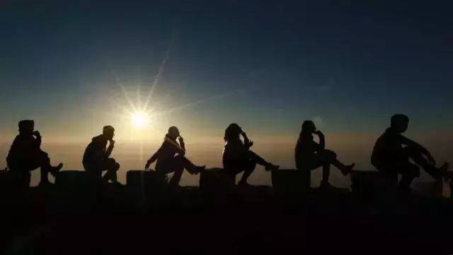 修複體 产品图片