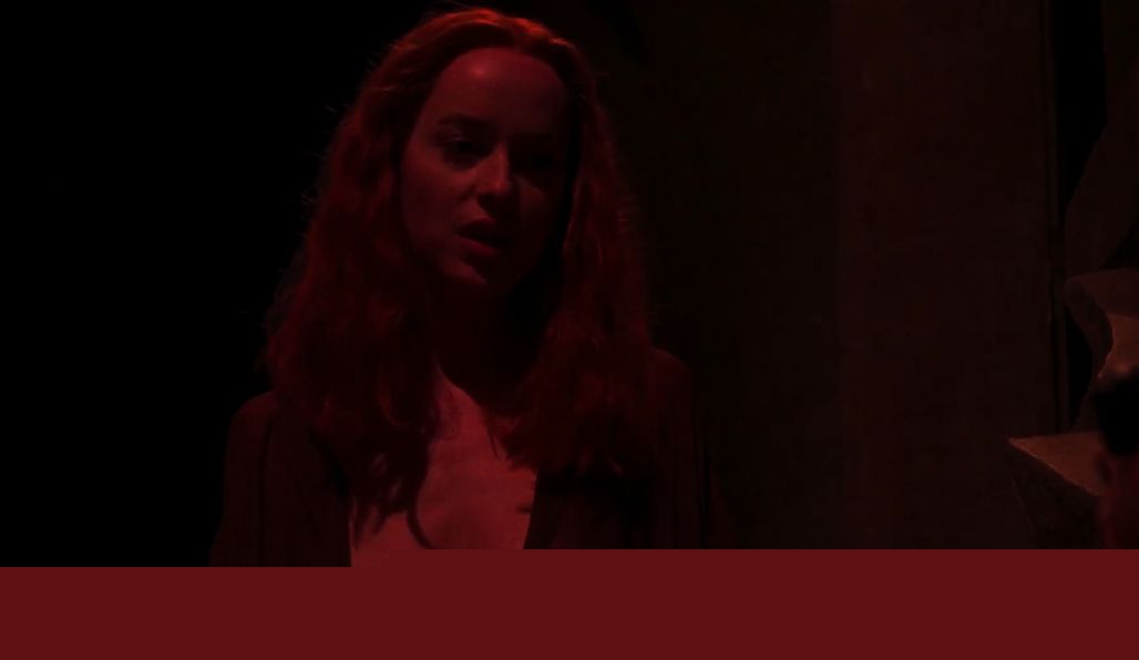 偽叛國者 视频截图