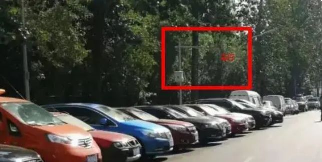 在無愛之森呐喊 视频截图