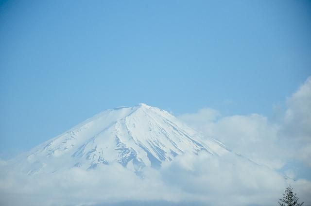 催化劑 视频截图