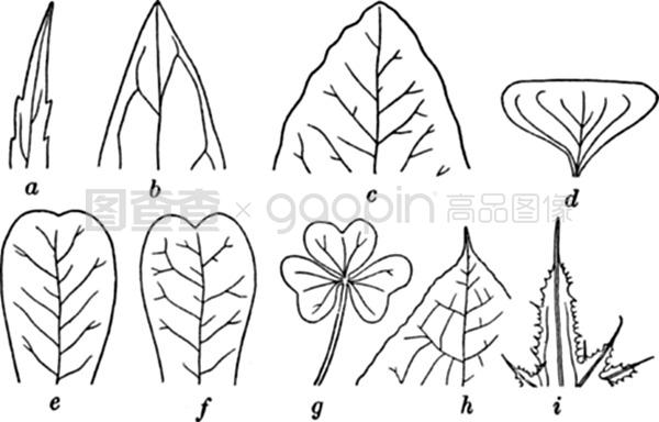 伊阿索密碼 视频截图