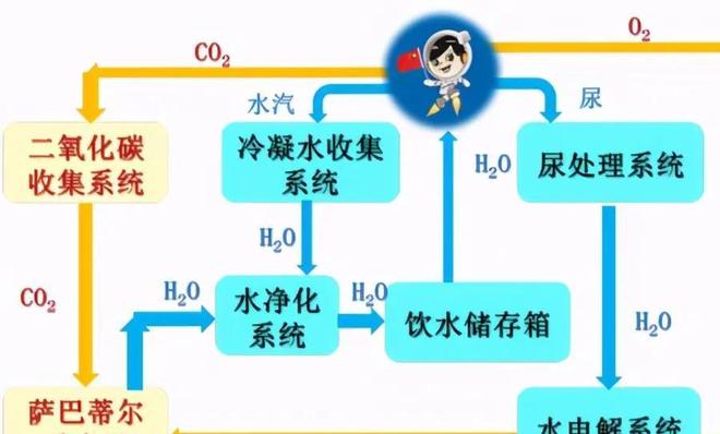 值得的等待 视频截图