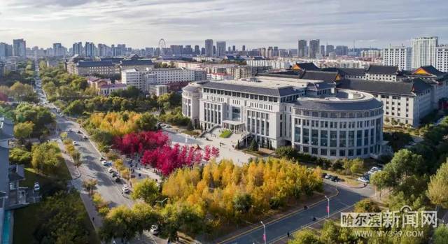 伯利恒之旅 视频截图