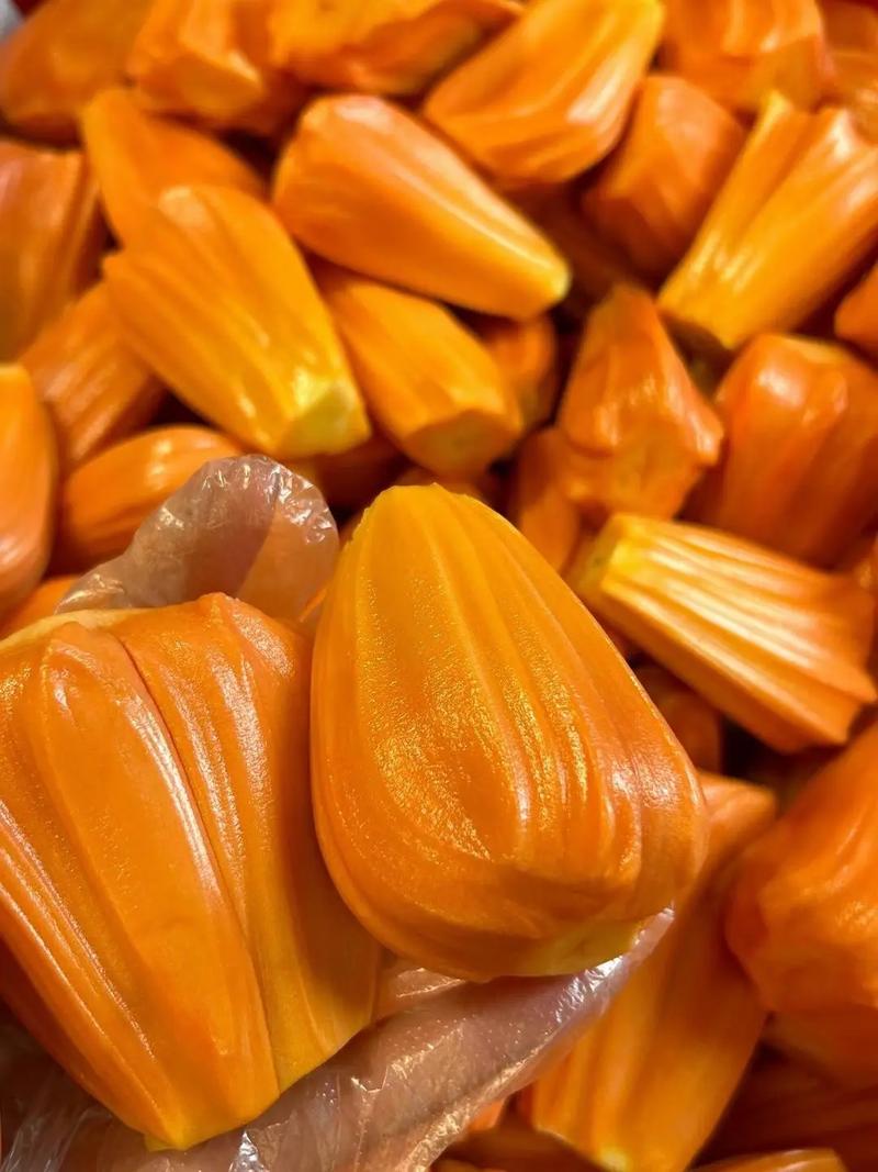 會計刺客 视频截图