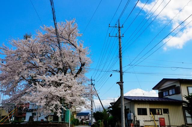 依莉絲（國語版） 视频截图