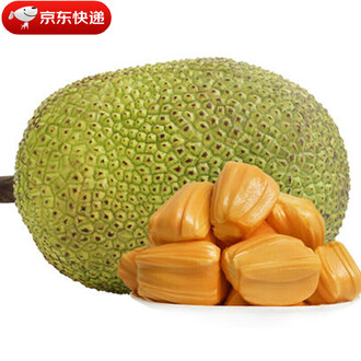 和爸爸在一起的3天 视频截图