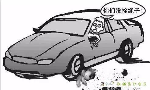 傾心相印 特別篇 视频截图