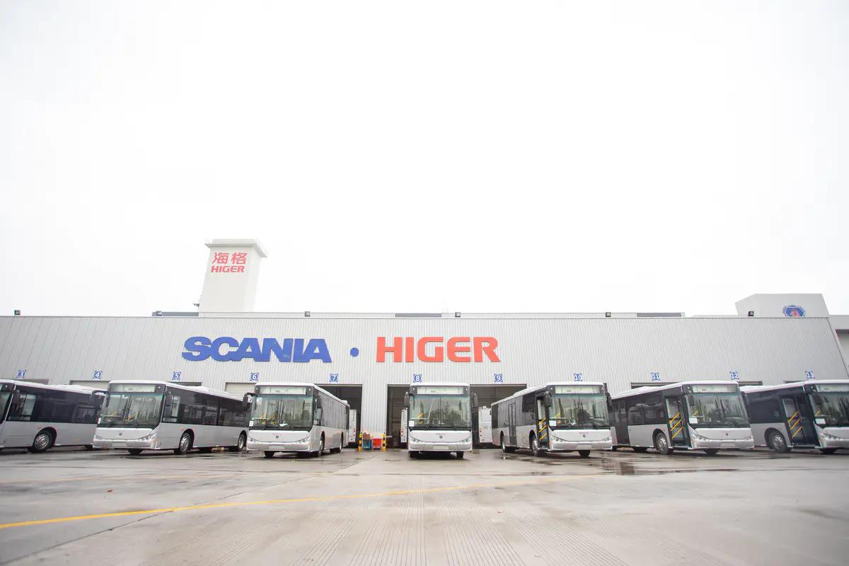 倔強甜心 视频截图