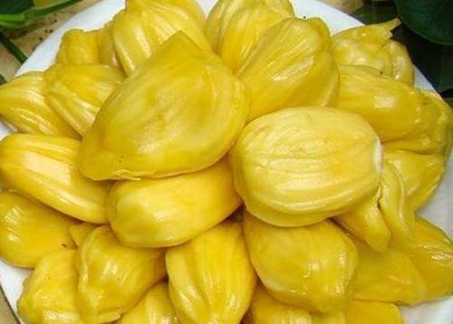 傀儡姬·彼岸花 视频截图