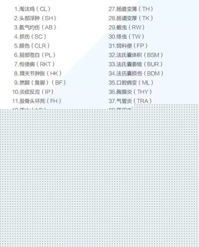 你想去哪裏？ 视频截图