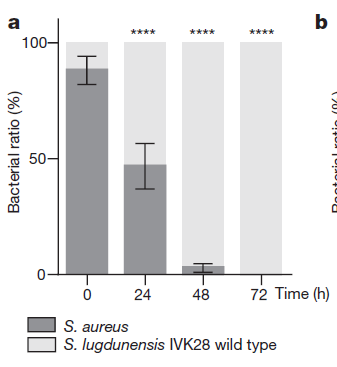 傘頭和他的女人 产品图片