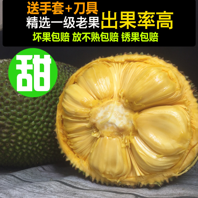 伊桑僵屍 视频截图