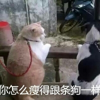 假麵騎士帝騎 全騎士對戰大修卡