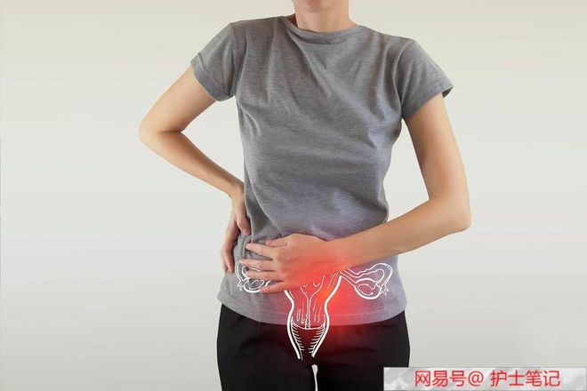 偷芯攻略 视频截图