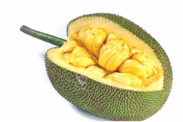 軍火廠 视频截图