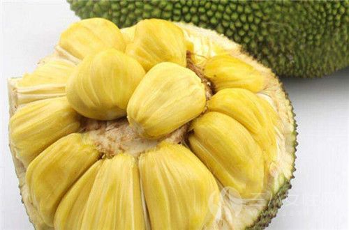 僵屍醫生 视频截图