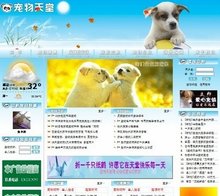 代孕媽媽 视频截图