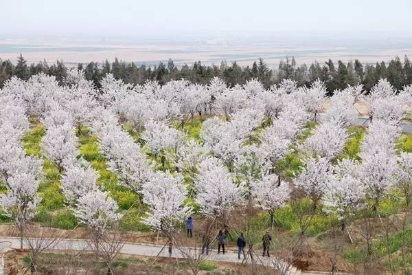 傲慢與偏見 普通話版 视频截图